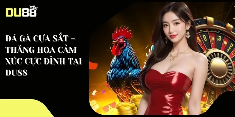 Đá gà cựa sắt