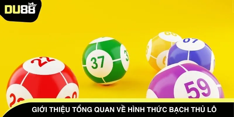 Giới thiệu tổng quan về hình thức bạch thủ lô