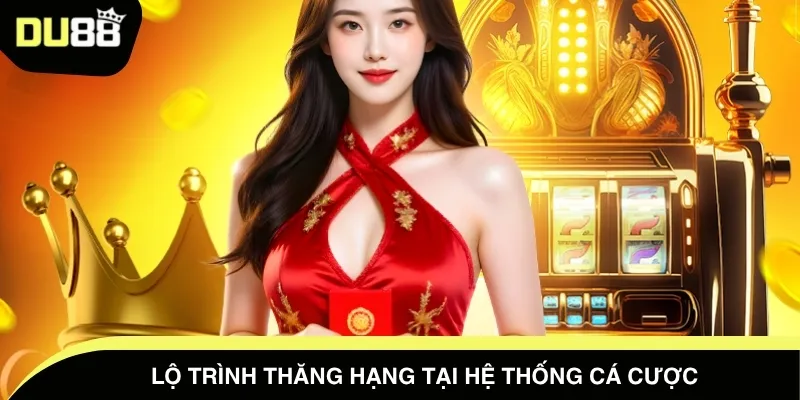Lộ trình thăng hạng tại hệ thống cá cược