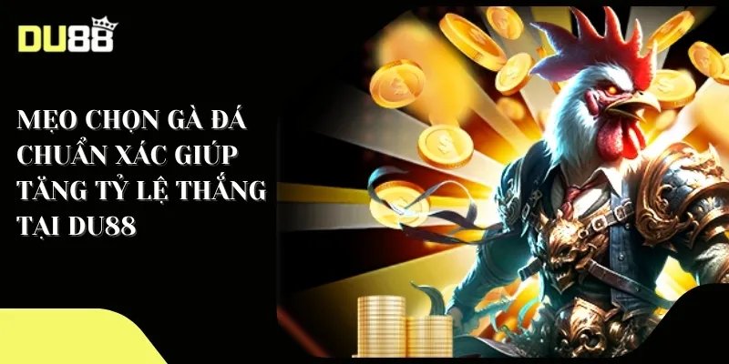 Mẹo chọn gà đá