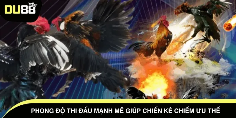 Phong độ thi đấu mạnh mẽ giúp chiến kê chiếm ưu thế