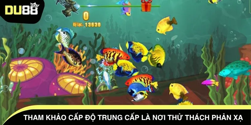 Tham khảo cấp độ trung cấp là nơi thử thách phản xạ